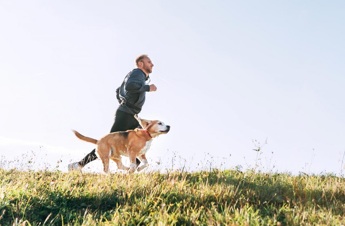 Ein Mann joggt mit seinem Golden Retriever über eine Wiese.